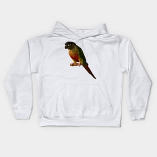 Green Cheek Conure Parrot Bird design, Love for birds Kids Hoodie